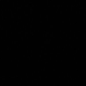 Meet your Posher, Ryann